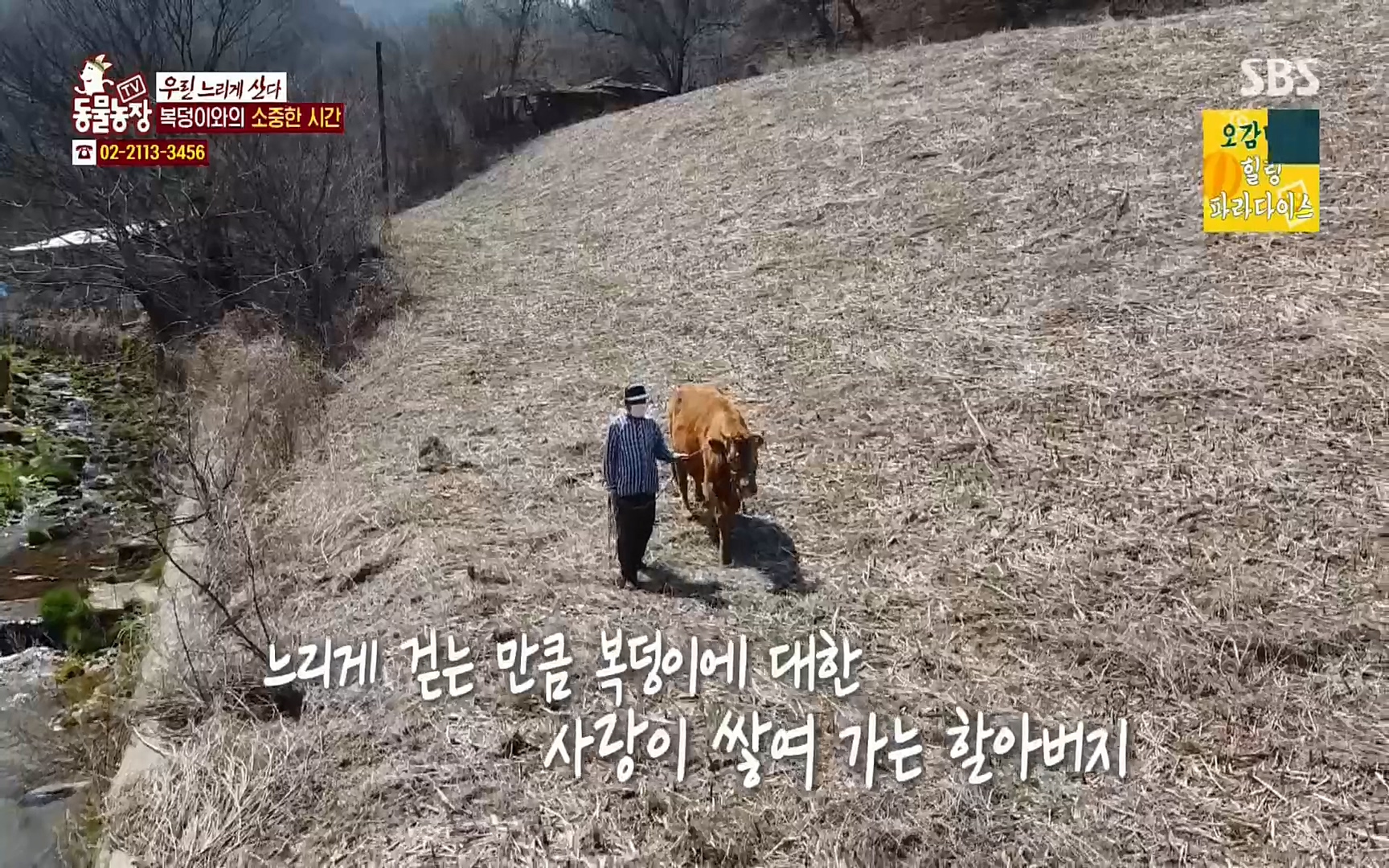 TV 동물농장.E1067.220501p.H264-F1RST.mp4_20220501_184250.535.jpg