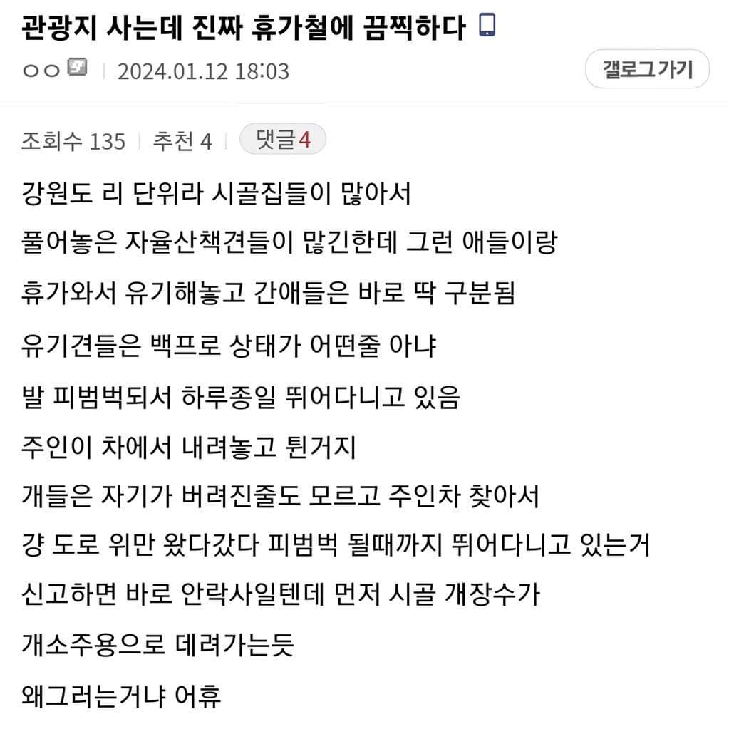 관광지사는데 진짜 휴가철에 끔찍하다