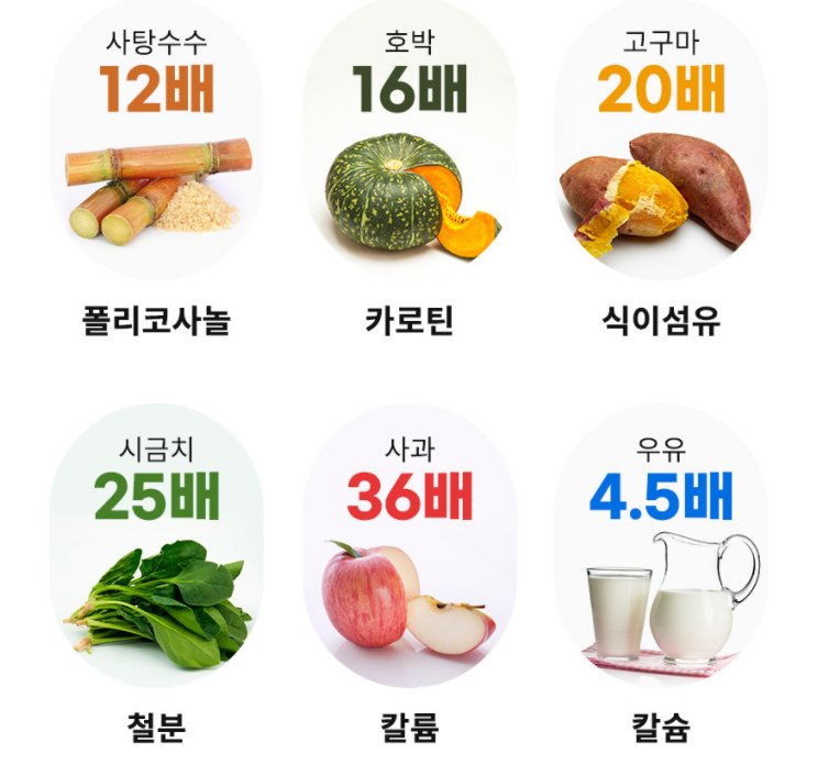 유기농 새싹보리 환 새싹보리 환 18
