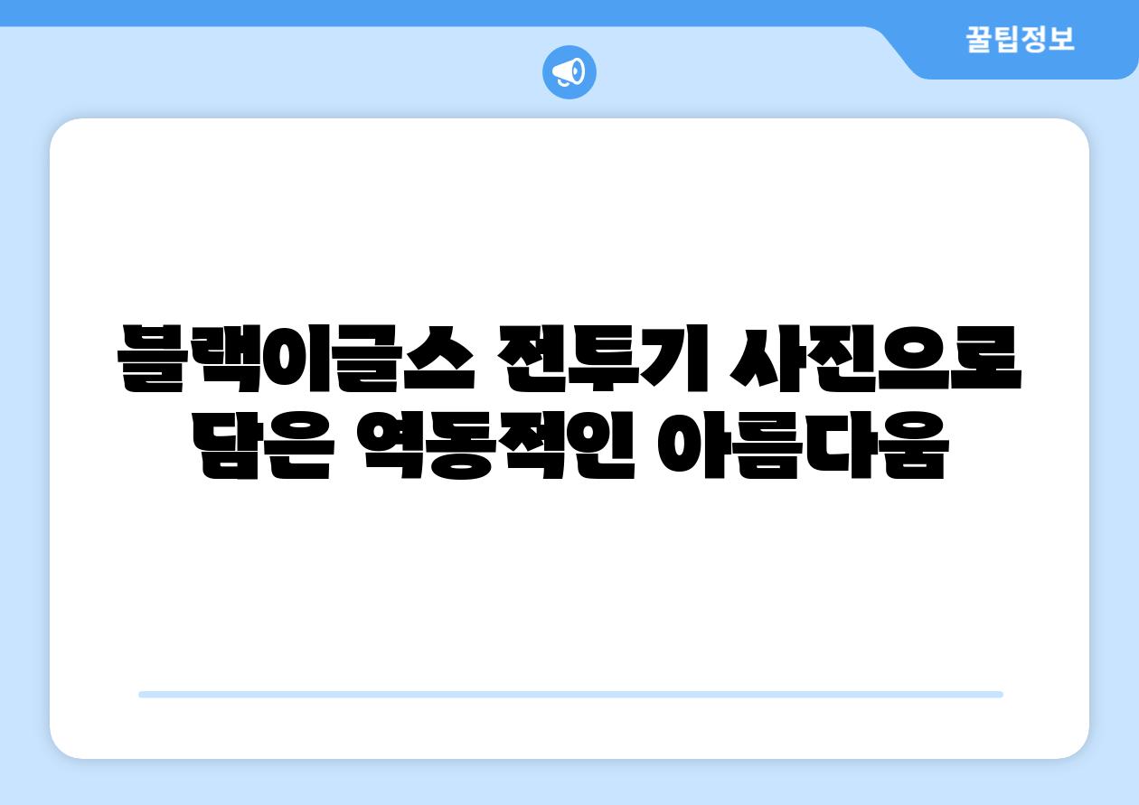블랙이글스 전투기 사진으로 담은 역동적인 아름다움