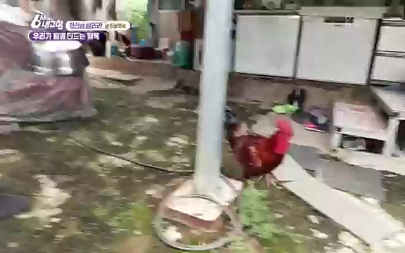 220815_청산에 살리라.ts_20220816_213105.292.jpg