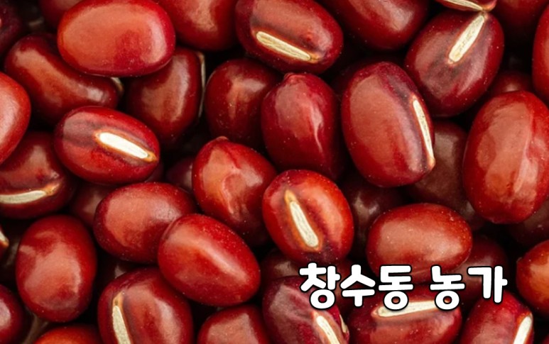 팥효능 고혈압 당뇨병 개선에 좋은