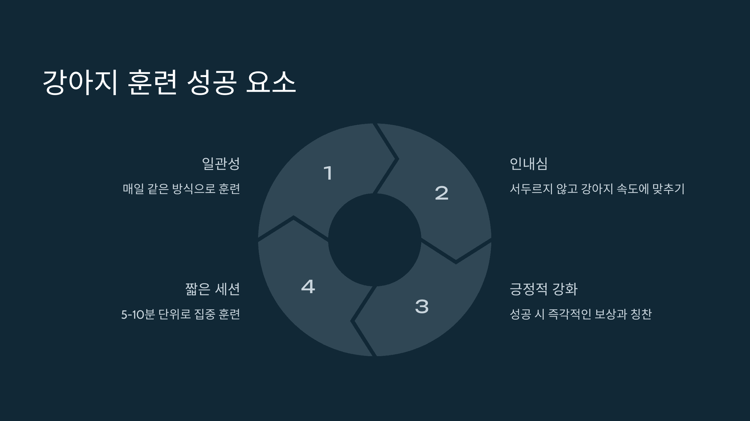 강아지 훈련 성공 요소