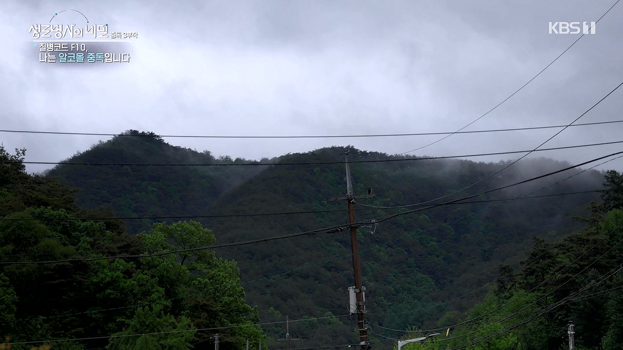 생로병사의 비밀.E915.240613p-NEXT.mp4_20240613_201556.942.jpg