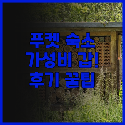 포 포인츠 바이 쉐라톤 푸켓 빠통 비