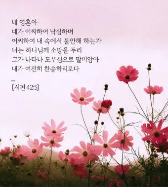 시편 46장 10절 읽기 - 너희는 가만히 있어 내가 하나님 됨을 알지어다_5