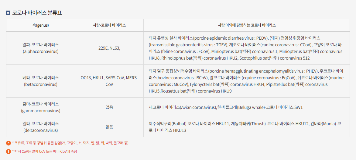 코로나-바이러스-분류