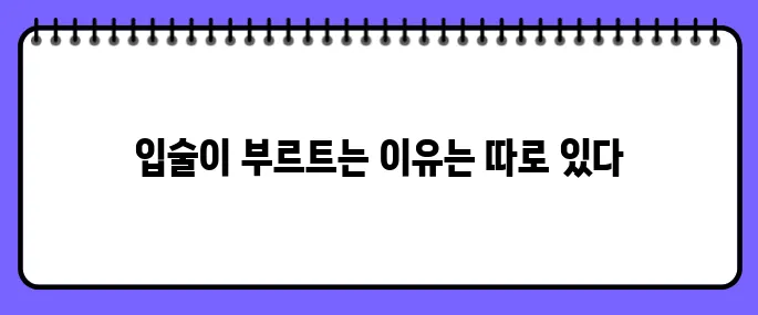 입술이 부르트는 이유