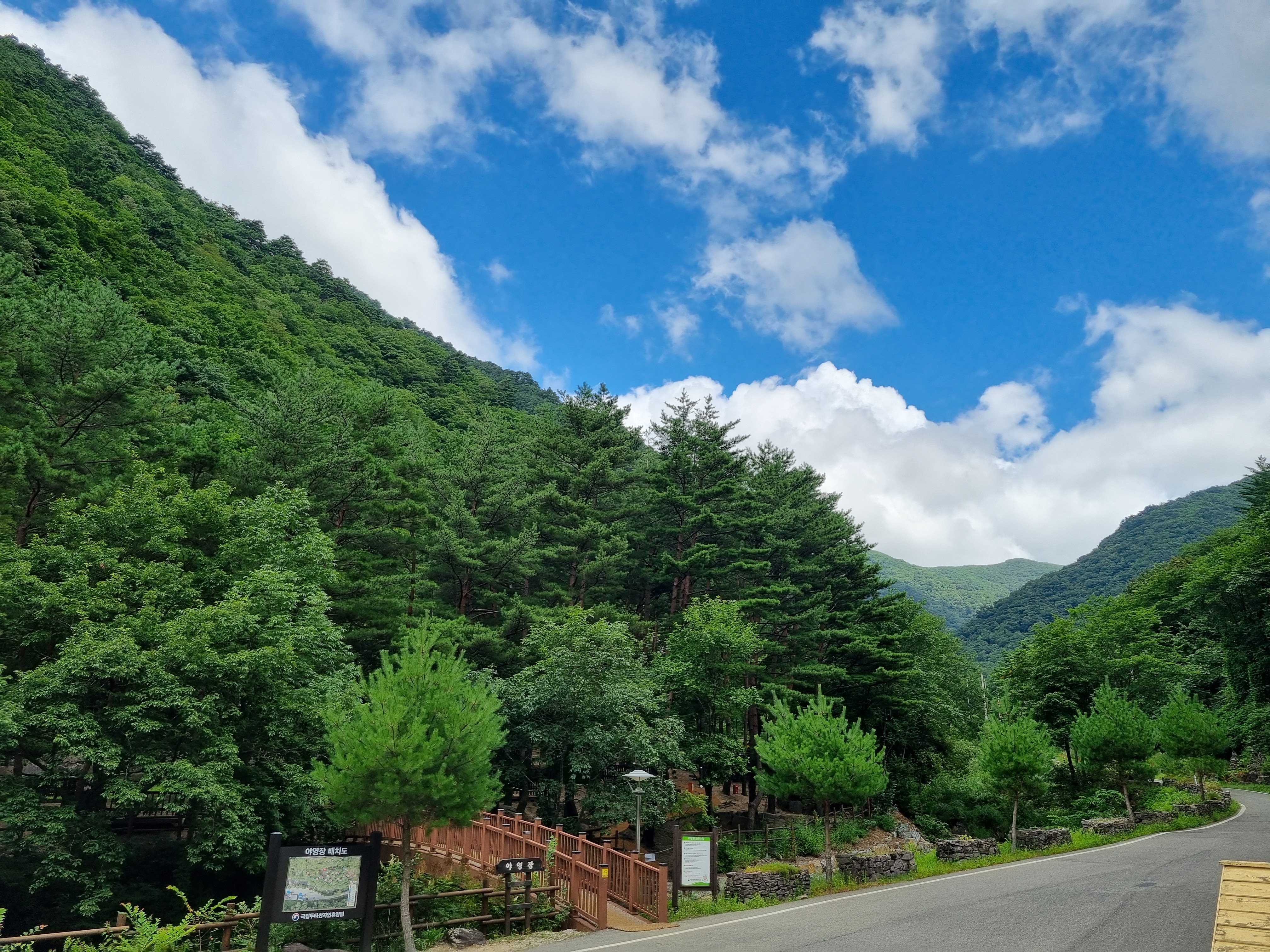 두타산자연휴양림 전경