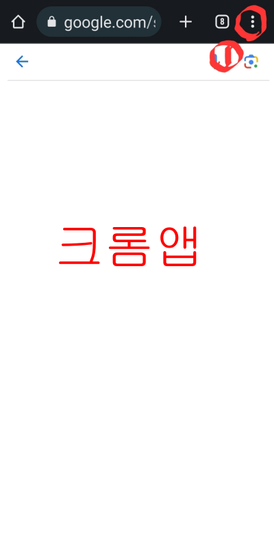 스마트폰 모바일 DNS 설정1