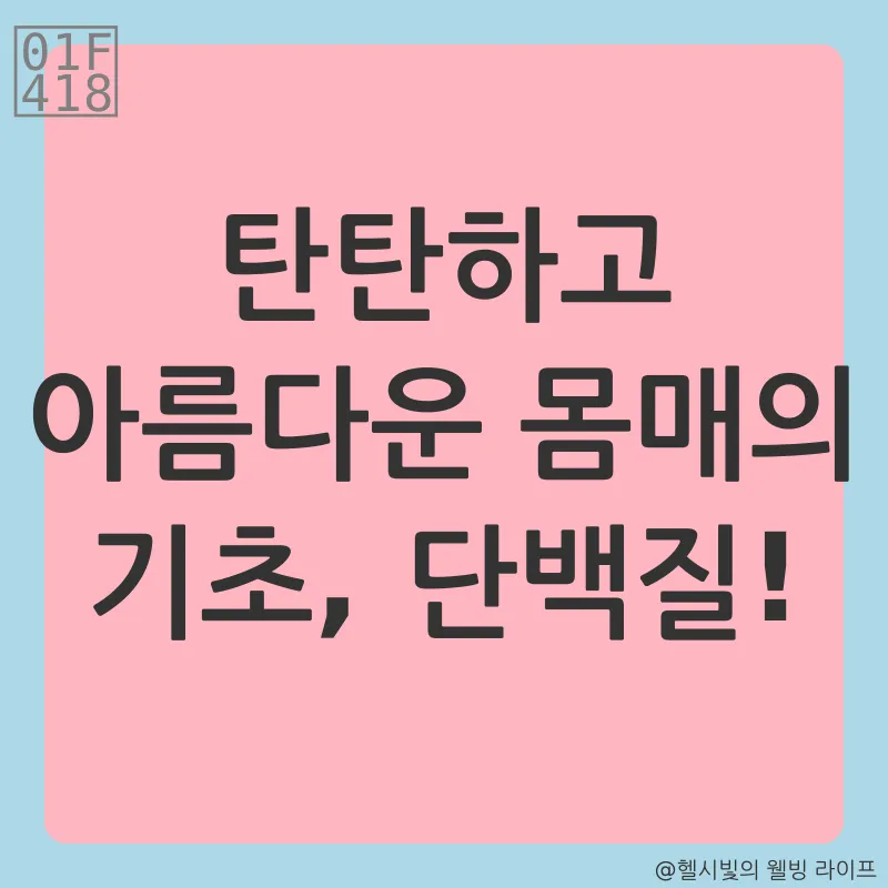 균형 잡힌 영양 섭취_2