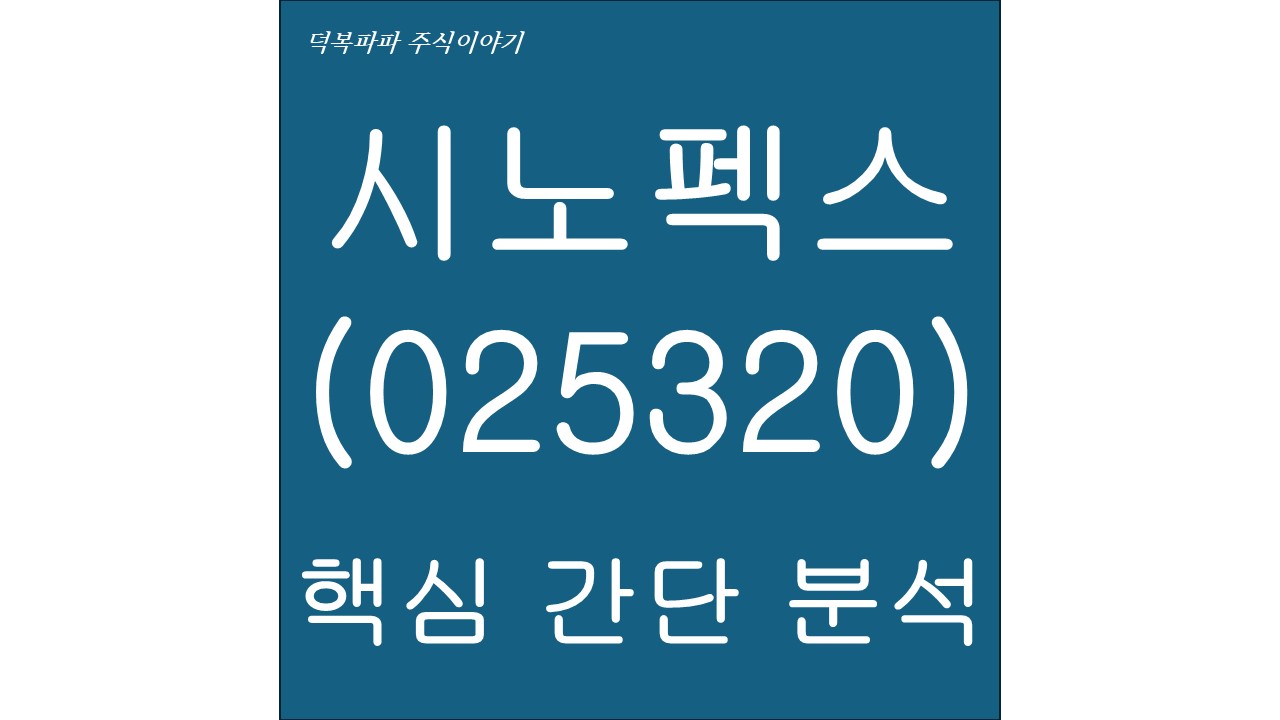 시노펙스(025320) 핵심 간단 분석