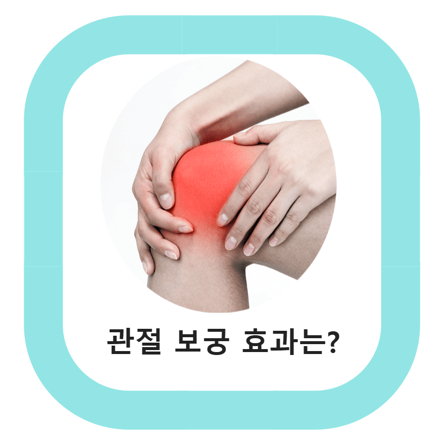  김연자 관절 보궁 가격 및 관절 보궁 궁 프리미엄 효과는?
