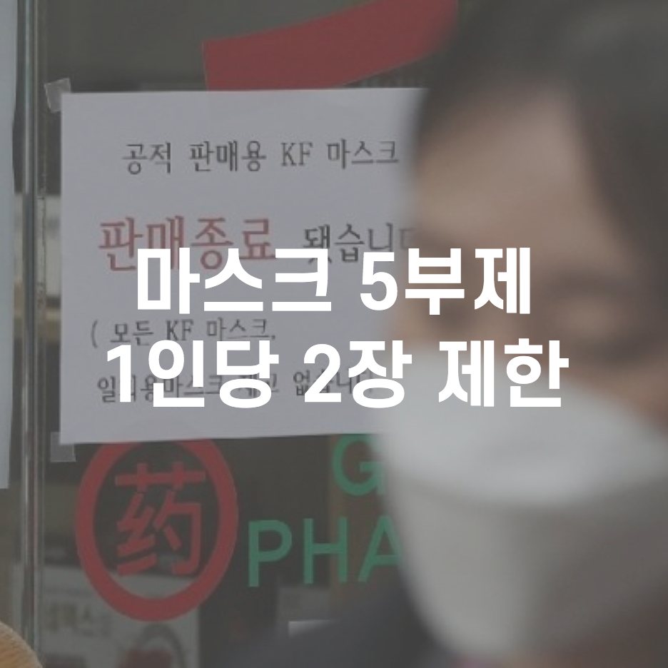  마스크 5부제가 뭐야? 이제 어떻게 사?