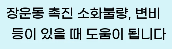  장운동 촉진 소화불량, 변비 등이 있을 때 도움이 됩니다