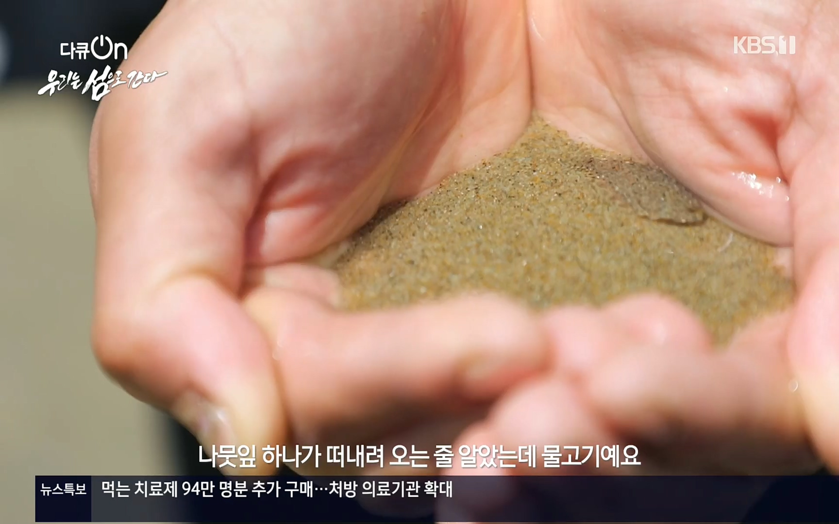 다큐 On.E152.220812p.H264-F1RST.mp4_20220814_160503.071.jpg