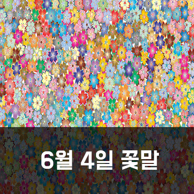  6월 4일 탄생화