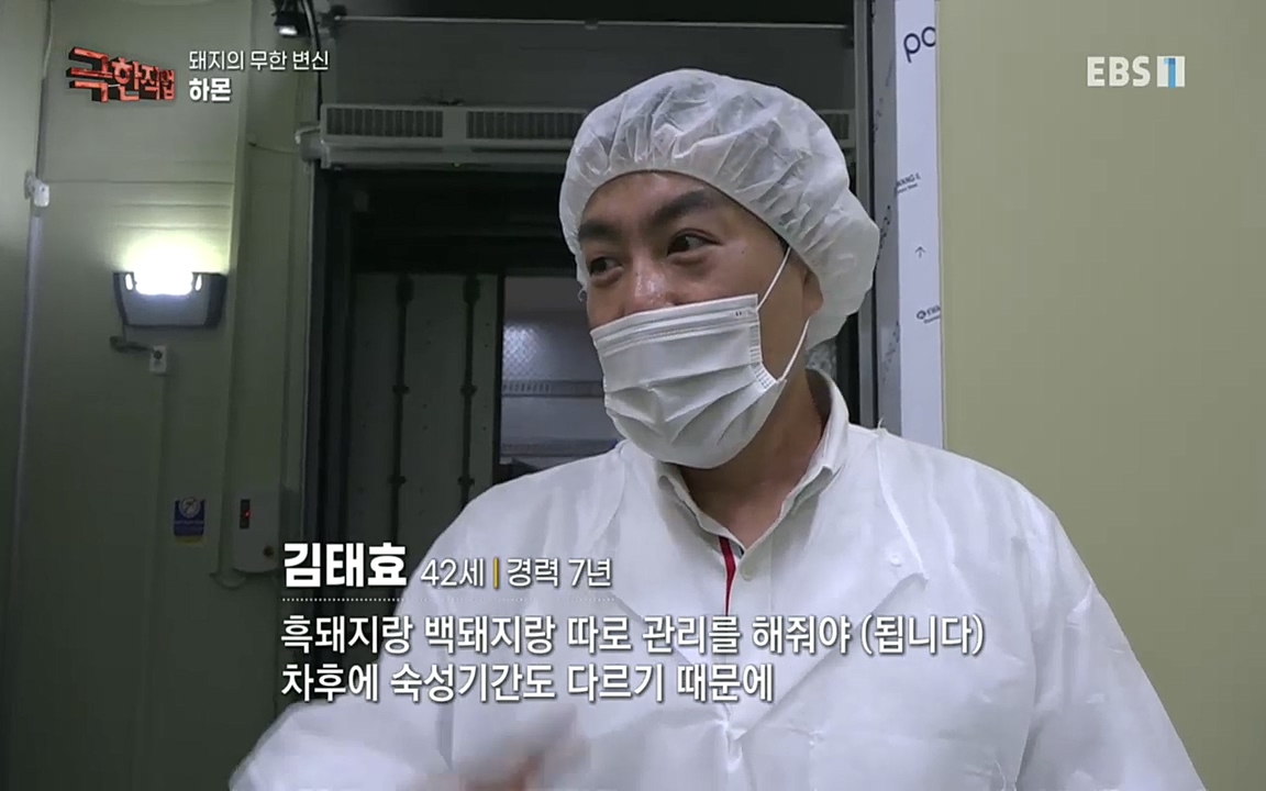 TV - 교육의 중심 EBS돼지의 무한 변신 - 하몬, 소시지, 순대.mp4_20220919_194354.821.jpg