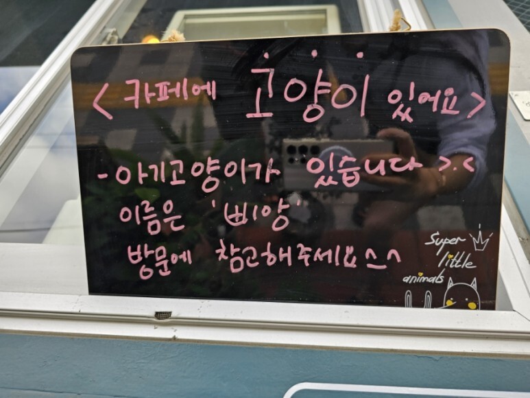 카페팔로 이미지