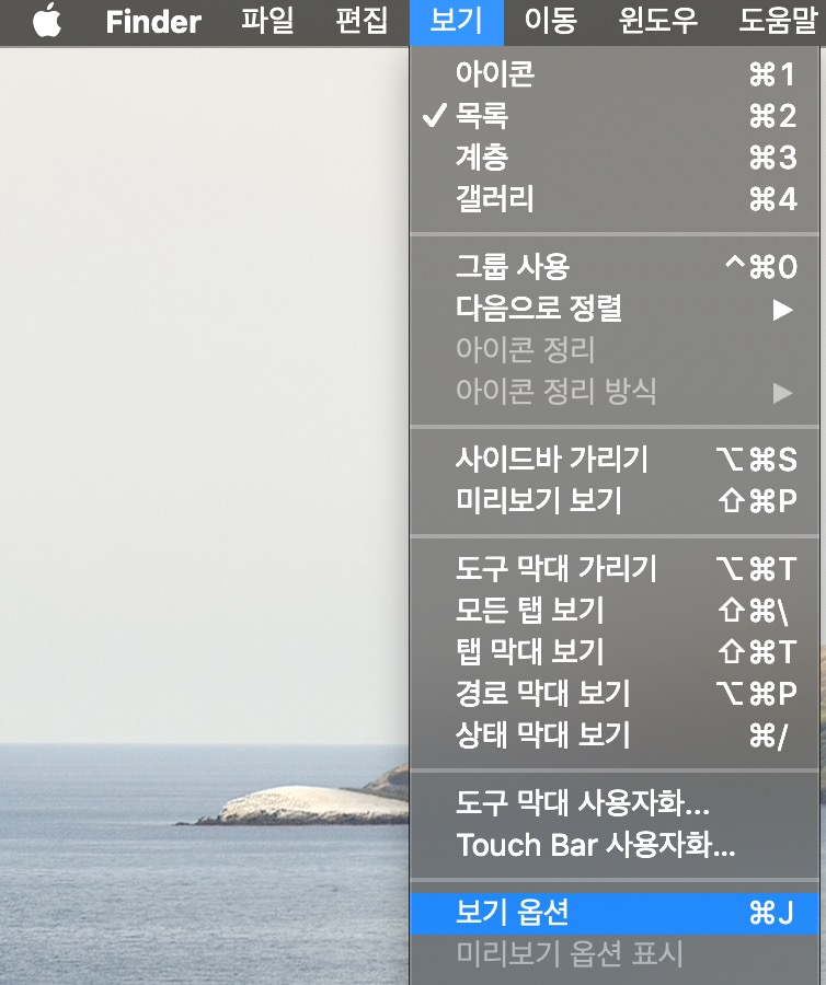 맥 Finder 보기옵션