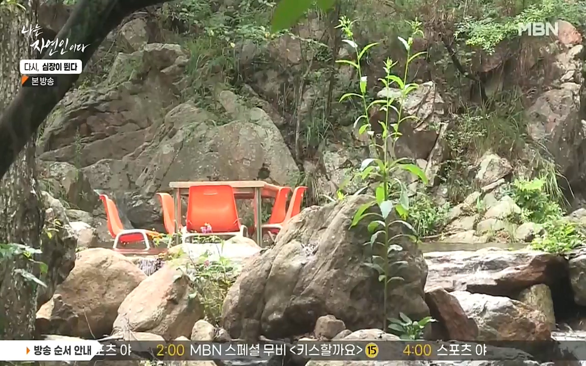 나는 자연인이다.E519.220915p-NEXT.mp4_20220915_201132.325.jpg
