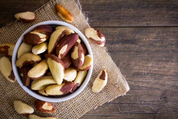 브라질넛 (Brazil nut)