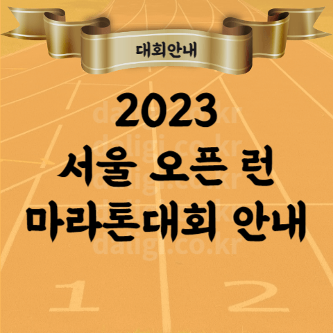 2023 서울오픈런 뚝섬 마라톤 대회 코스 종목 참가비 등