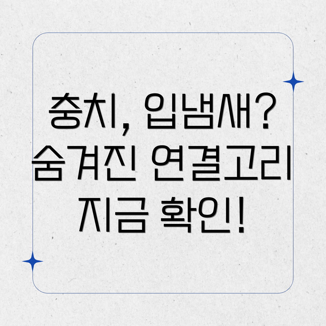 충치와 입냄새