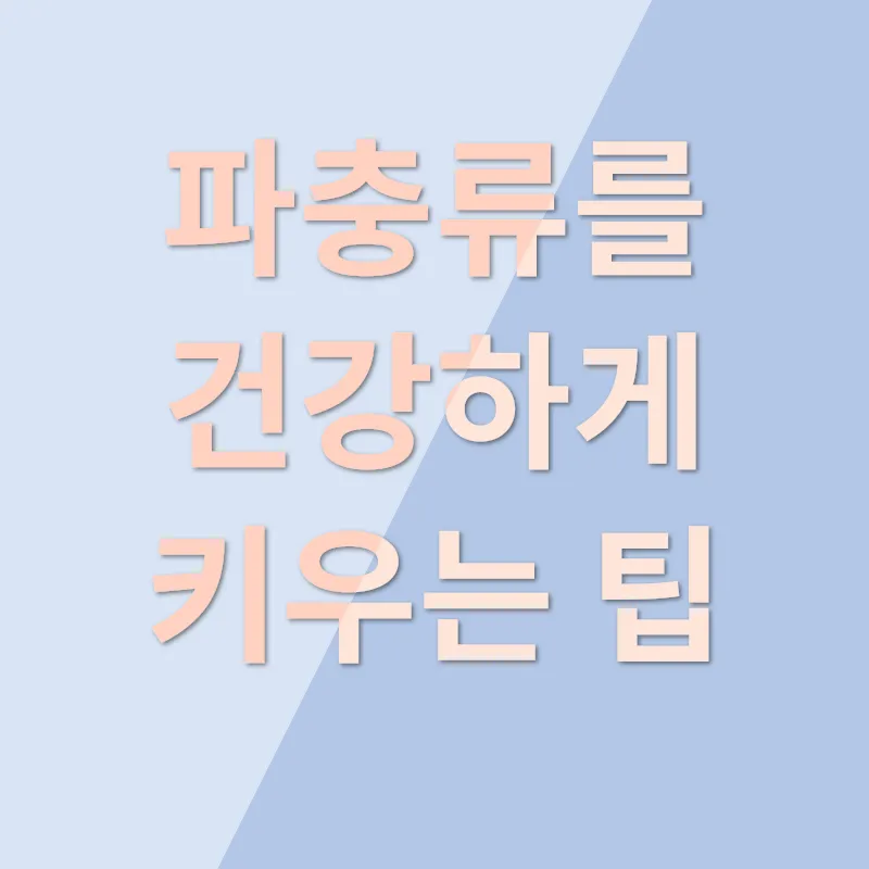 파충류 분양 쉽게 키우는 꿀팁_3
