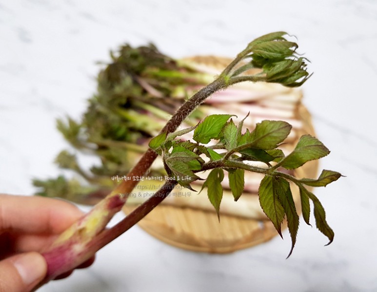 거창 대구 판매 손질 및 보관법 제철 봄나물 우도열매 - 2021년 11