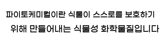  파이토케미컬이란 식물이 스스로를 보호하기 위해 만들어내는 식물성 화학물질입니다