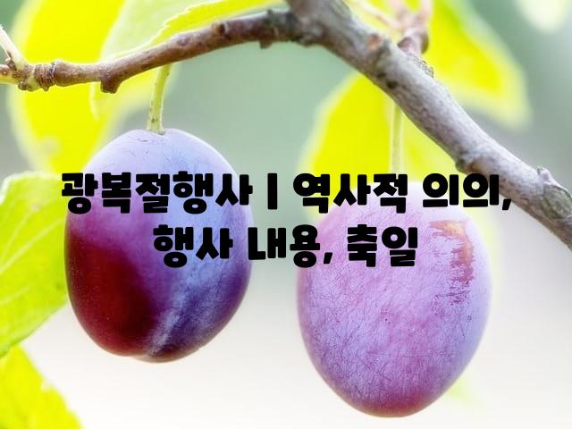 랜덤185