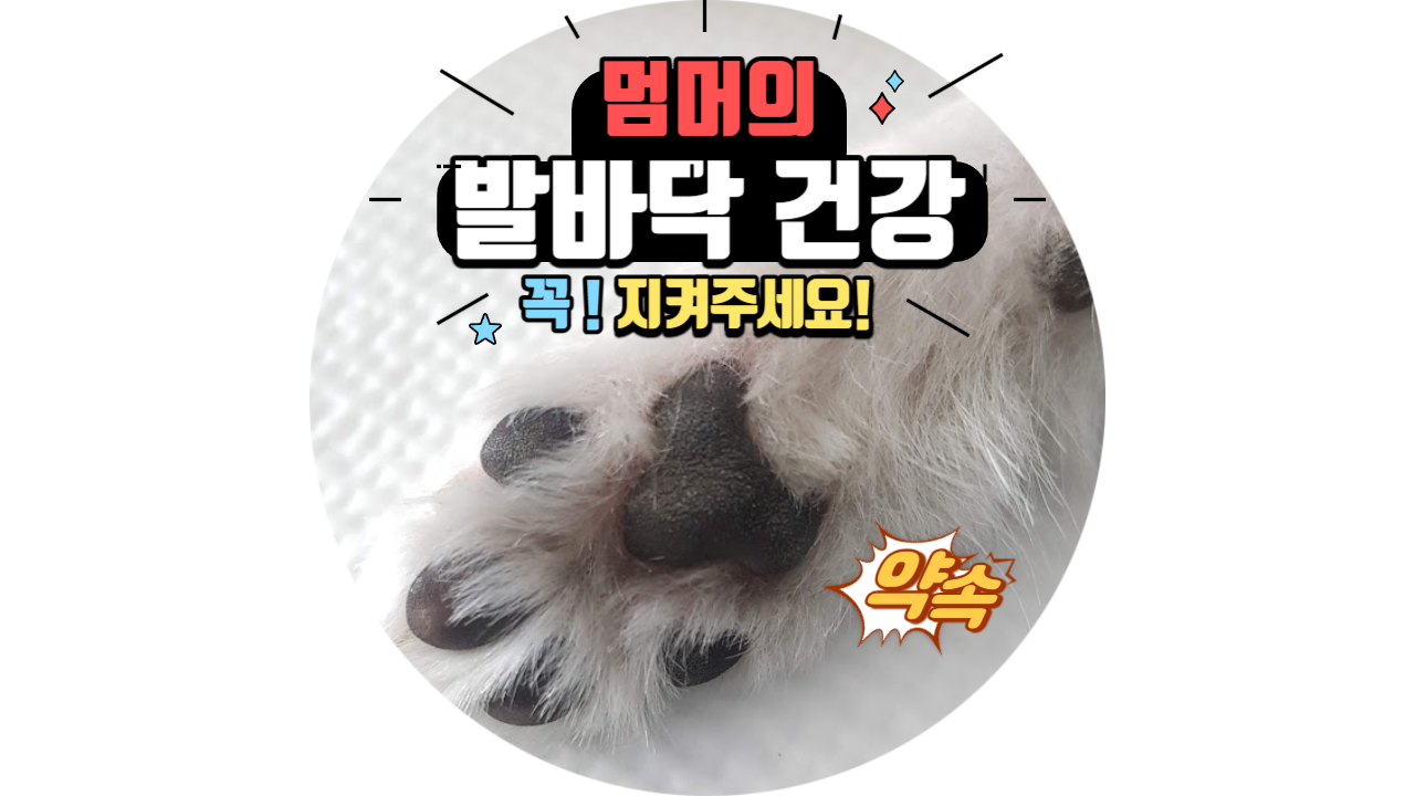  겨울철 건조한 날씨에  발바닥 건강 꼭 챙기세멍!