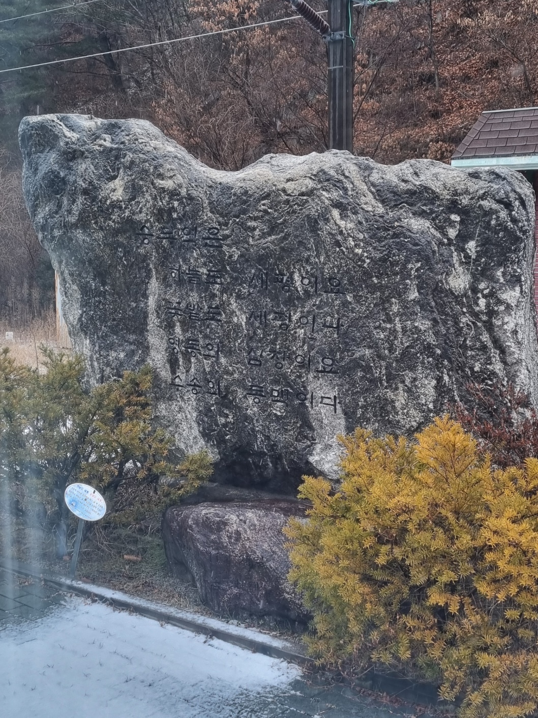 null 승부역세평시비
