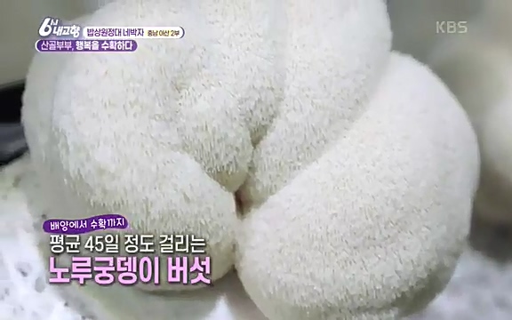 [7612회] 6시 내고향 - KBS7612회] 6시 내고향.ts_20220912_172725.316.jpg