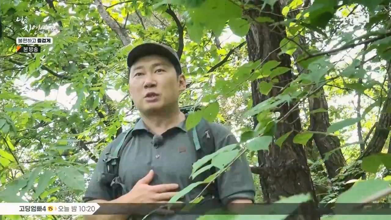 나는 자연인이다.E566.230810p.WANNA.mp4_20230810_202551.000.jpg