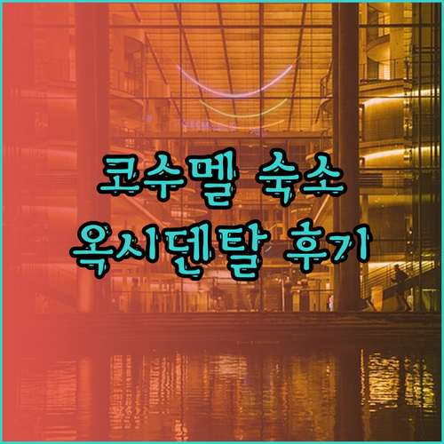 코수멜 여행 숙소 추천 옥시덴탈 코수
