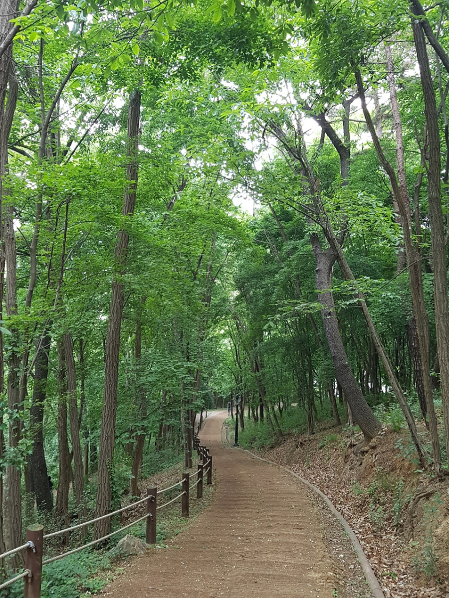 두류공원 이미지