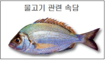 물고기 관련 속담
