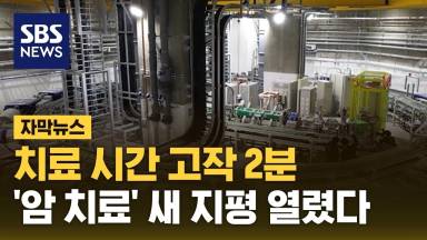  암 정복의 시대, 중입자 치료