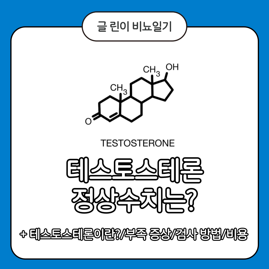 테스토스테론 정상수치