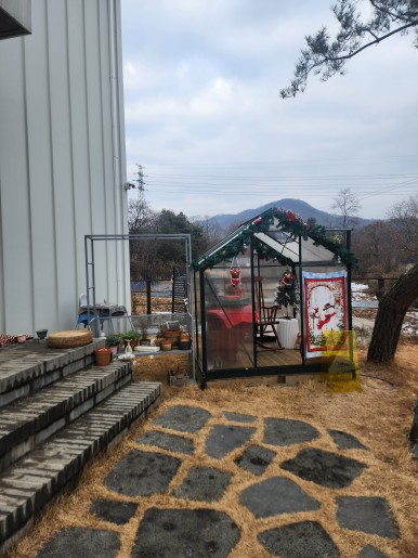 몽트커피
