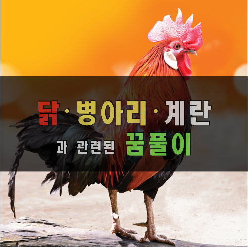 닭 병아리 계란과 관련된 꿈풀이