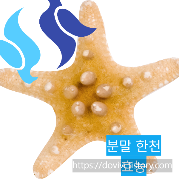  분말한천 가루 효능 및 부작용