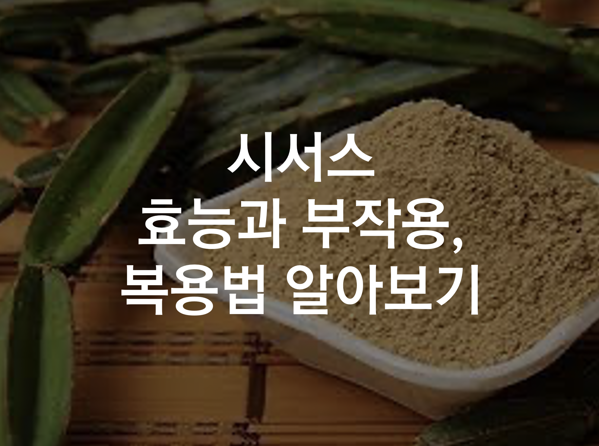  시서스 효능과 부작용, 제대로 알고 시서스 다이어트하기