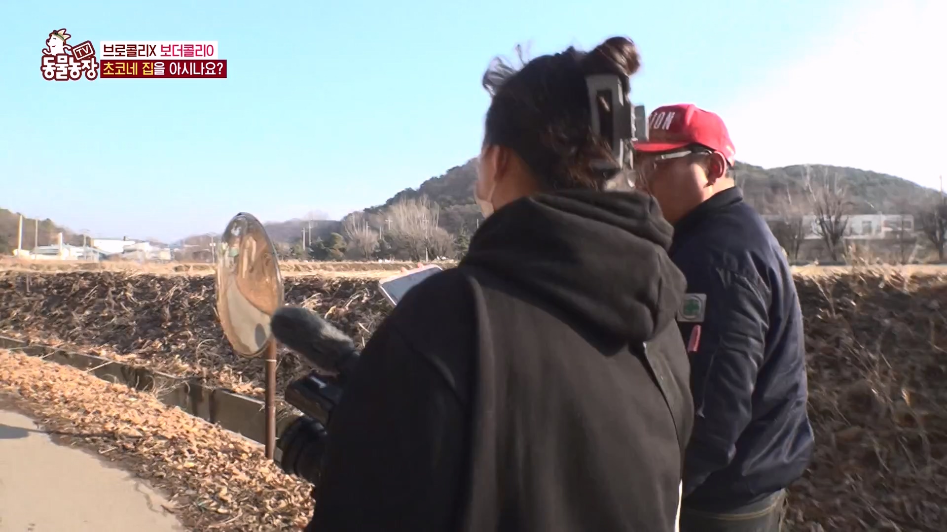 TV 동물농장.E1161.240303p-NEXT.mp4_20240303_172256.387.jpg