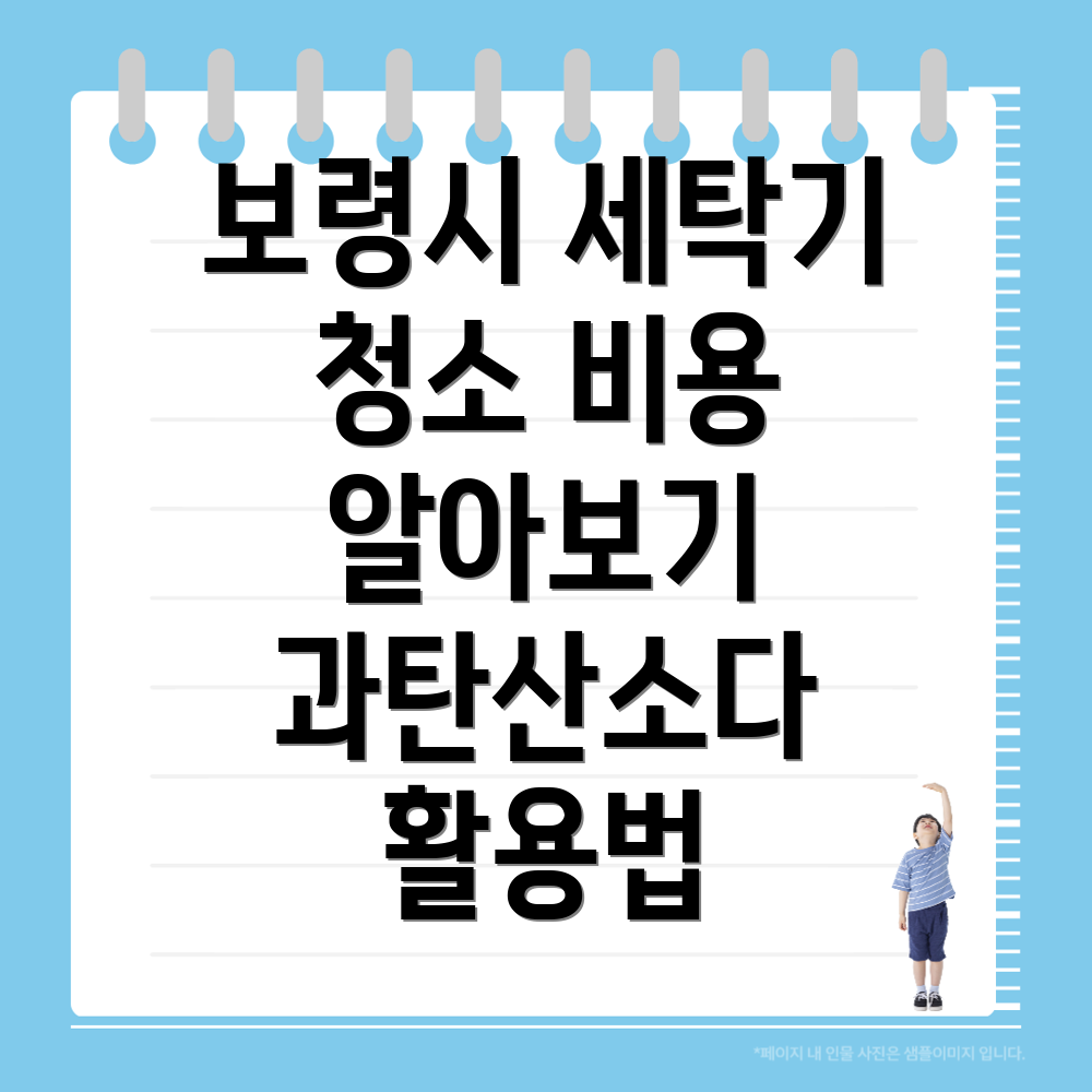 보령시 세탁기 청소 비용