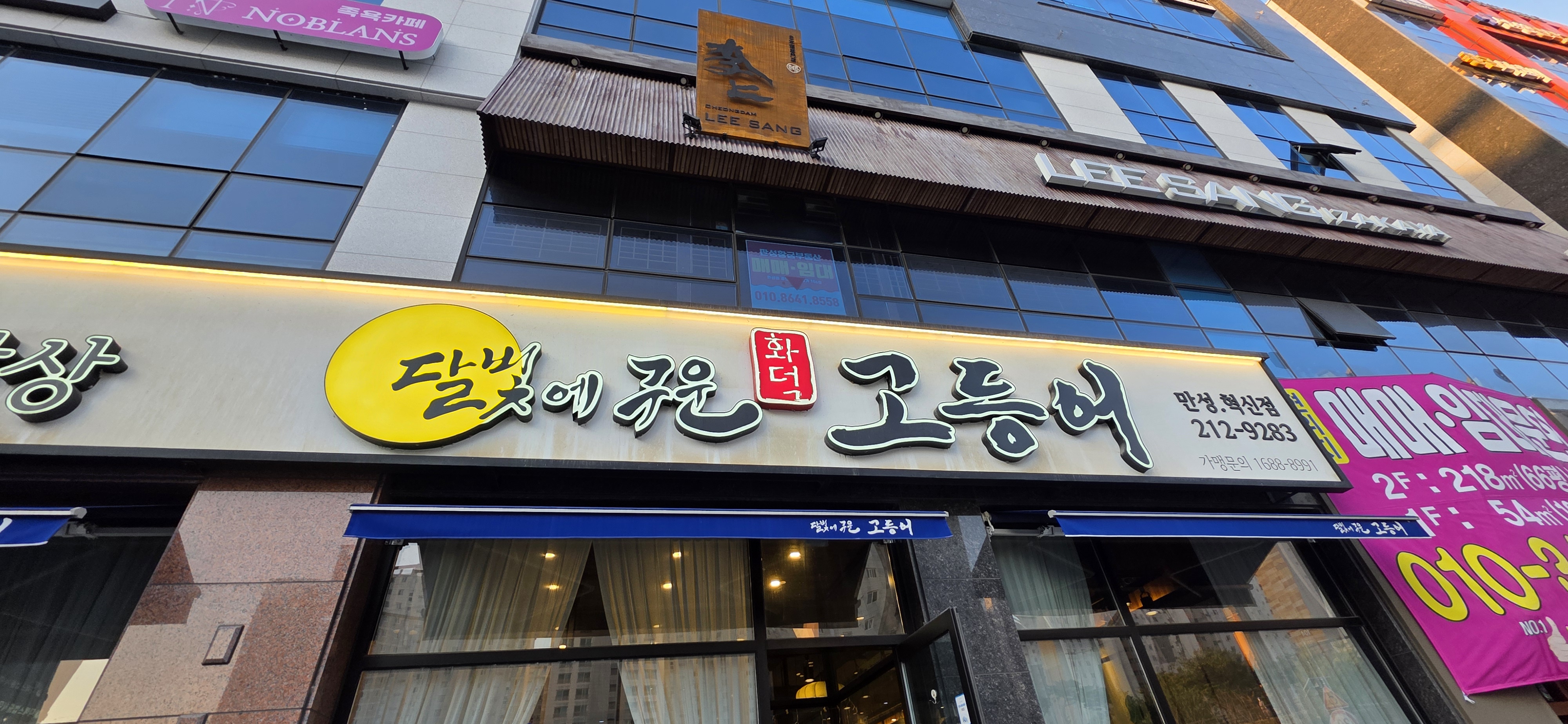 달빛에구운고등어 이미지