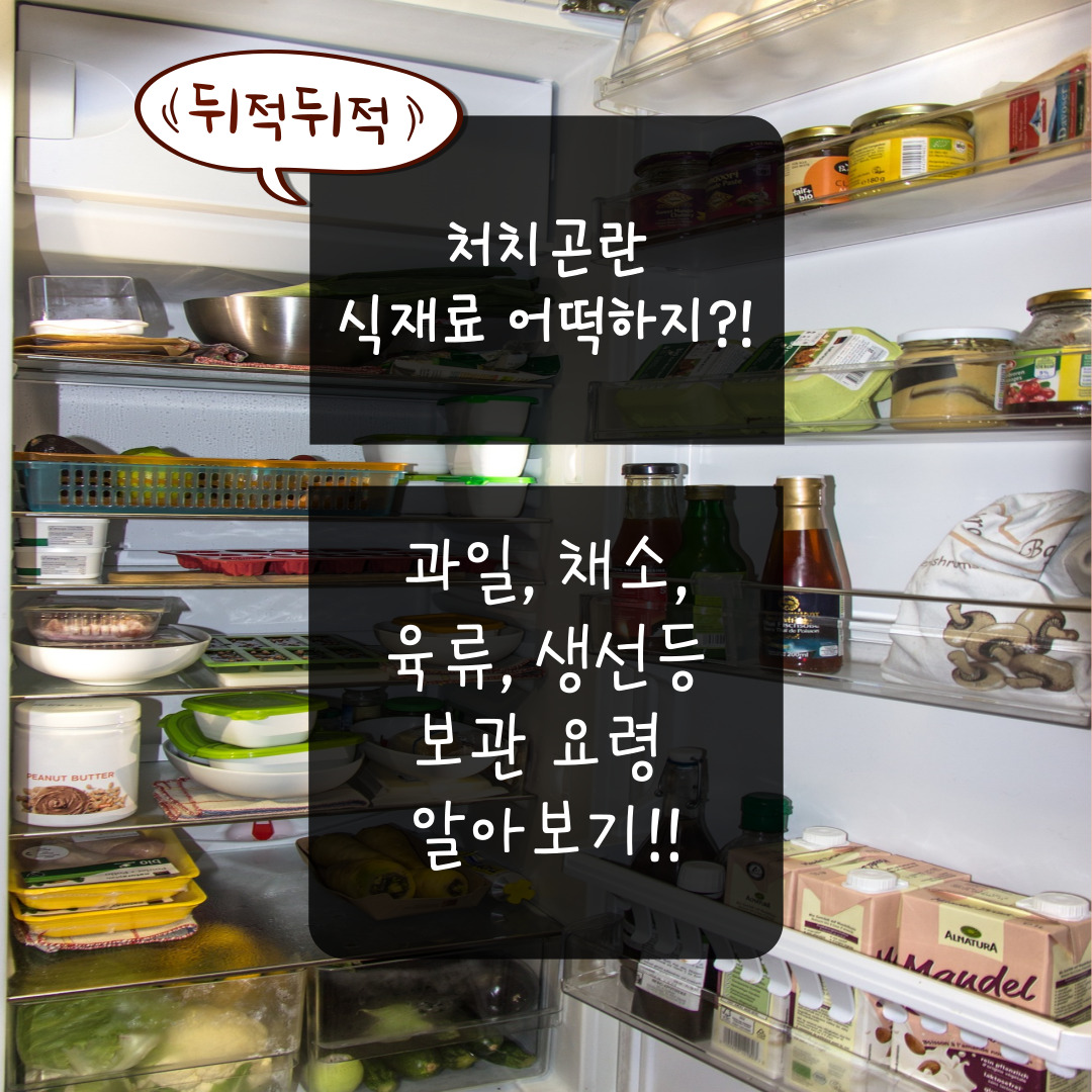  처치곤란 식재료 보관요령 알아보기!!