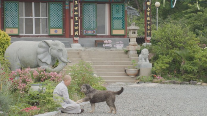 한국기행-거제-대원사-자원스님